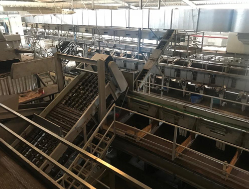 coconut water and milk processing plants