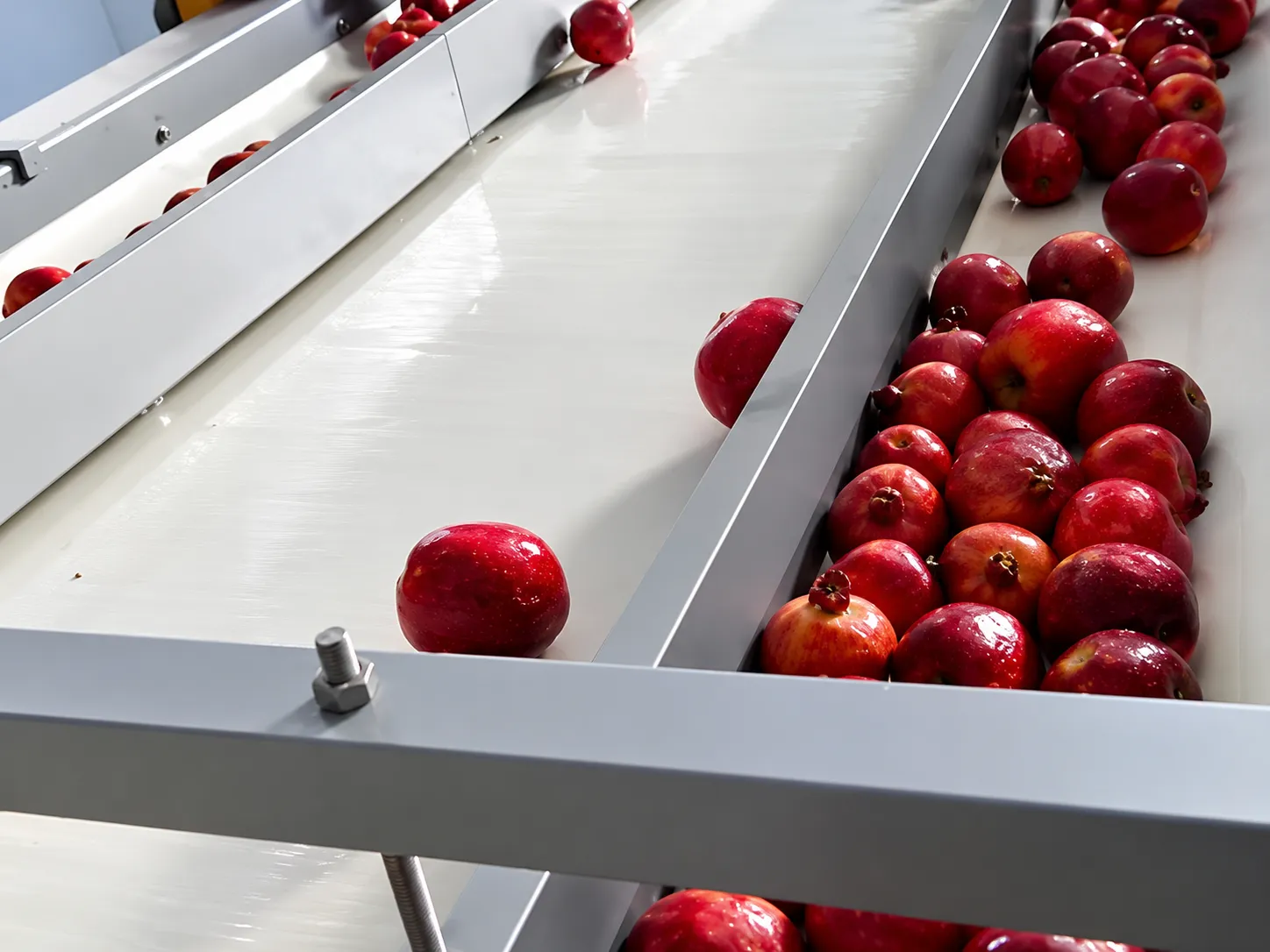 Pomegranate Processing Machinery