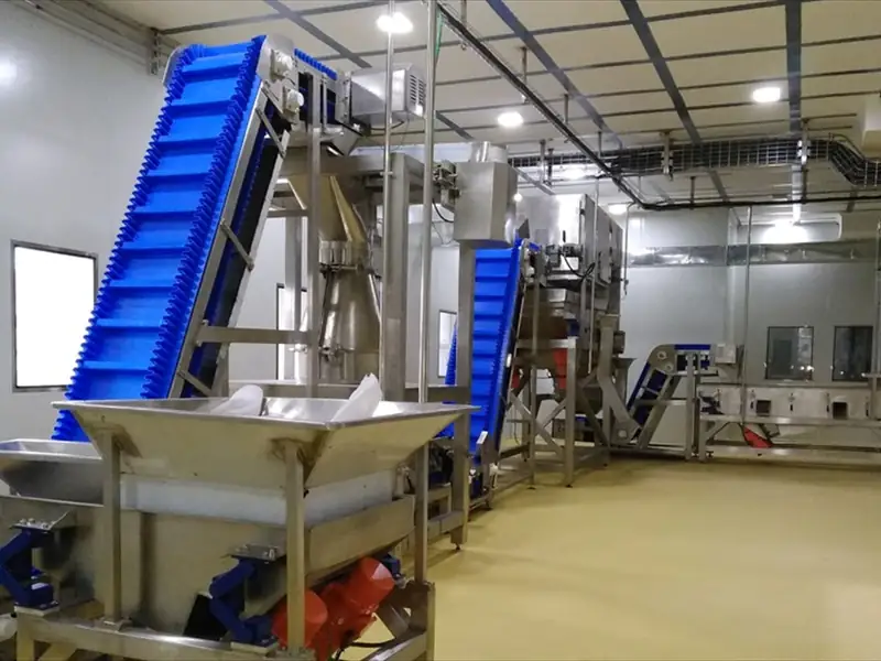Raisin Processing Plants